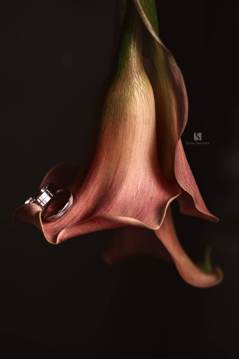 fotografie de nunta constanta, fotograf de nunta