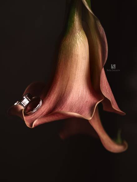 DSC05880afb DSC05880afb